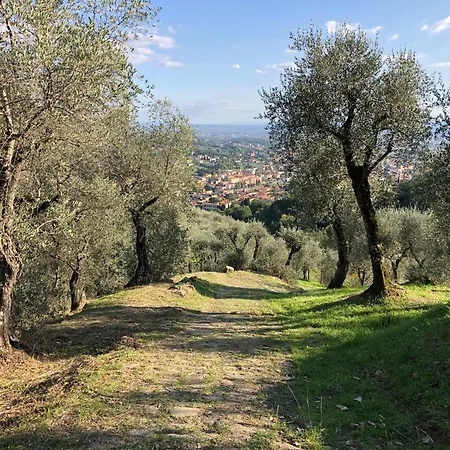 Terrazza Giuliana, Wunderschoenes Haeuschen In Der Toskana Mit Sonniger, Leuchtender Terrasse 페시아